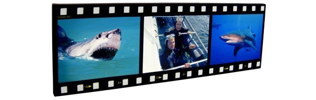 filmstrip