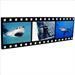 filmstrip squali