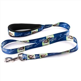 custom dog lead