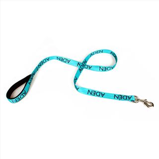 personalised dog name lead